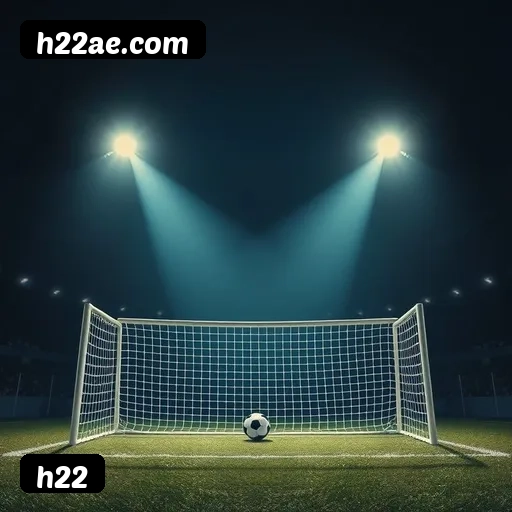 Níveis do programa VIP da h22